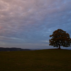 2018-10 Prague/Votice/DSC_5893.JPG